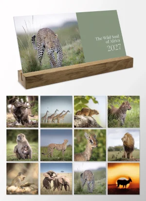 Desk calendar 2027<br>„The Wild Soul of Africa”