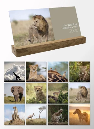 Tischkalender 2026<br>«The Wild Soul of the Savannah»