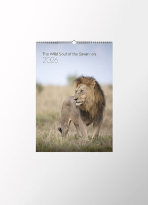Wall calendar 2026<br>„The Wild Soul of the Savannah”