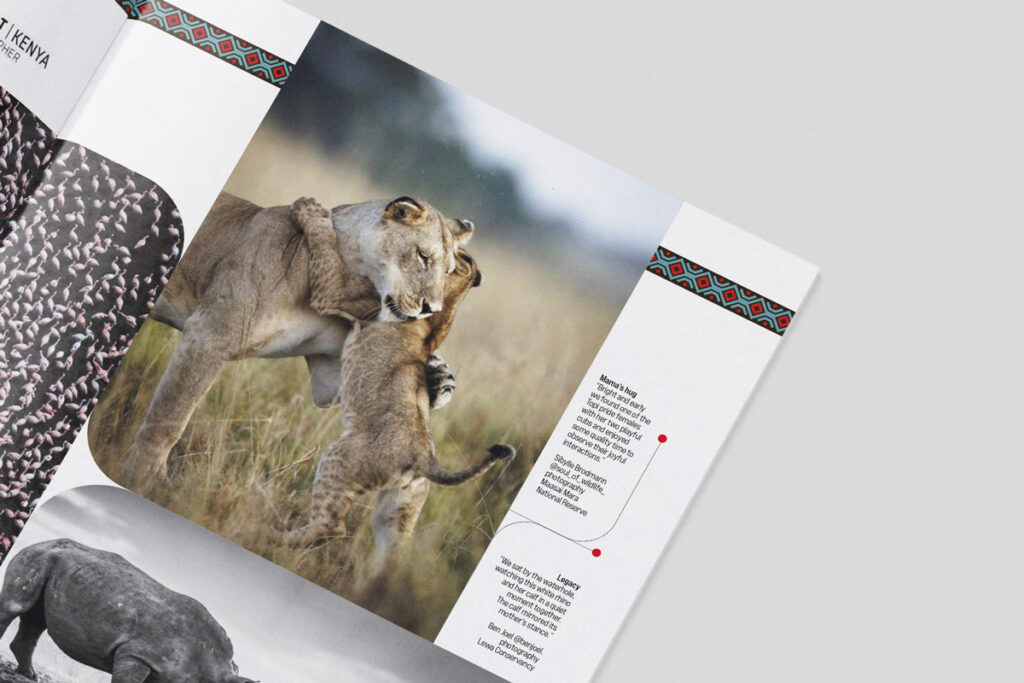 msafari Kenya Airways: Kenya’s Wildlife in Focus