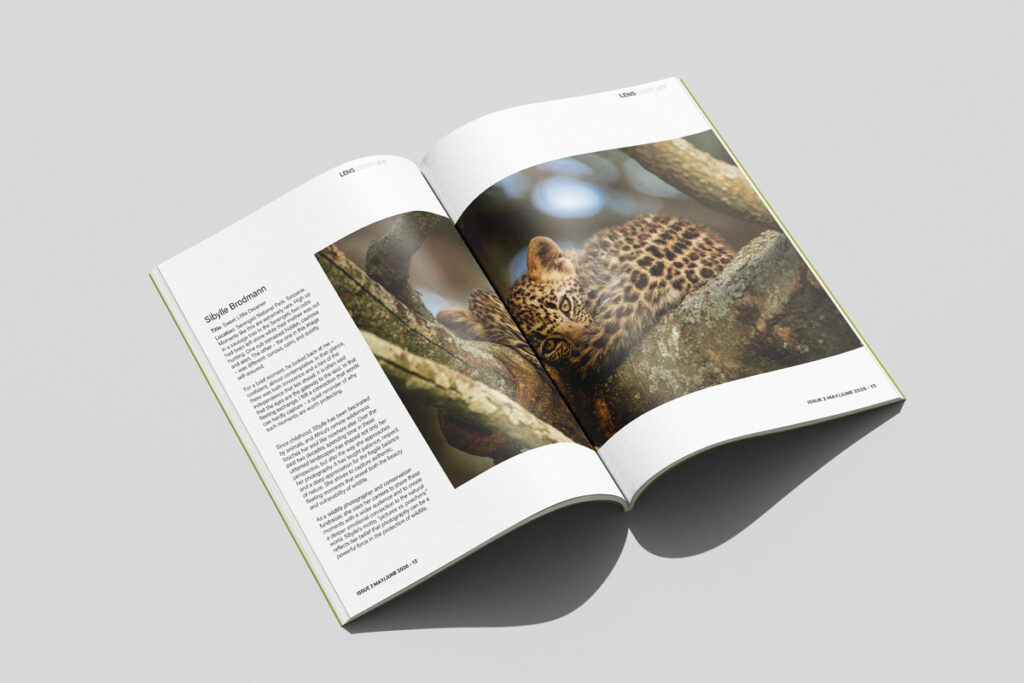 Lens Light Life Photography Magazine, Issue #2 May/June 2026