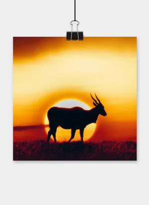 Eland standing in silhouette against the warm glow of the setting sun on the African savanna.