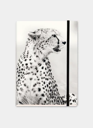 African cheetah sitting upright in profile, captured in a high-key black-and-white portrait with its gaze directed into the distance.