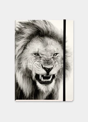 Male African lion with a striking mane and an intense gaze on the Ndutu Plains, Tanzania, captured in sepia.