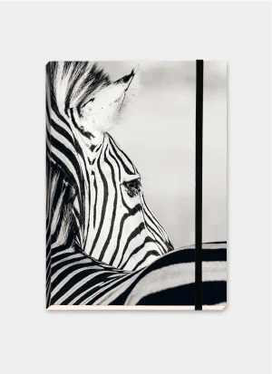 Close-up of a plains zebra resting among the herd, its face and eye framed by the bold black-and-white stripes of other zebras.